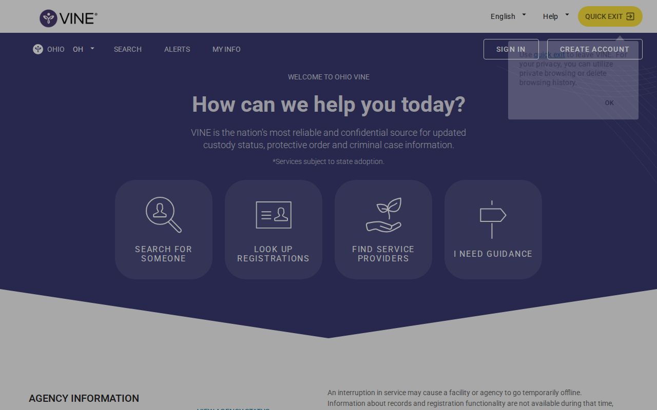 Ohio VINELink search screen for a Meigs County release check